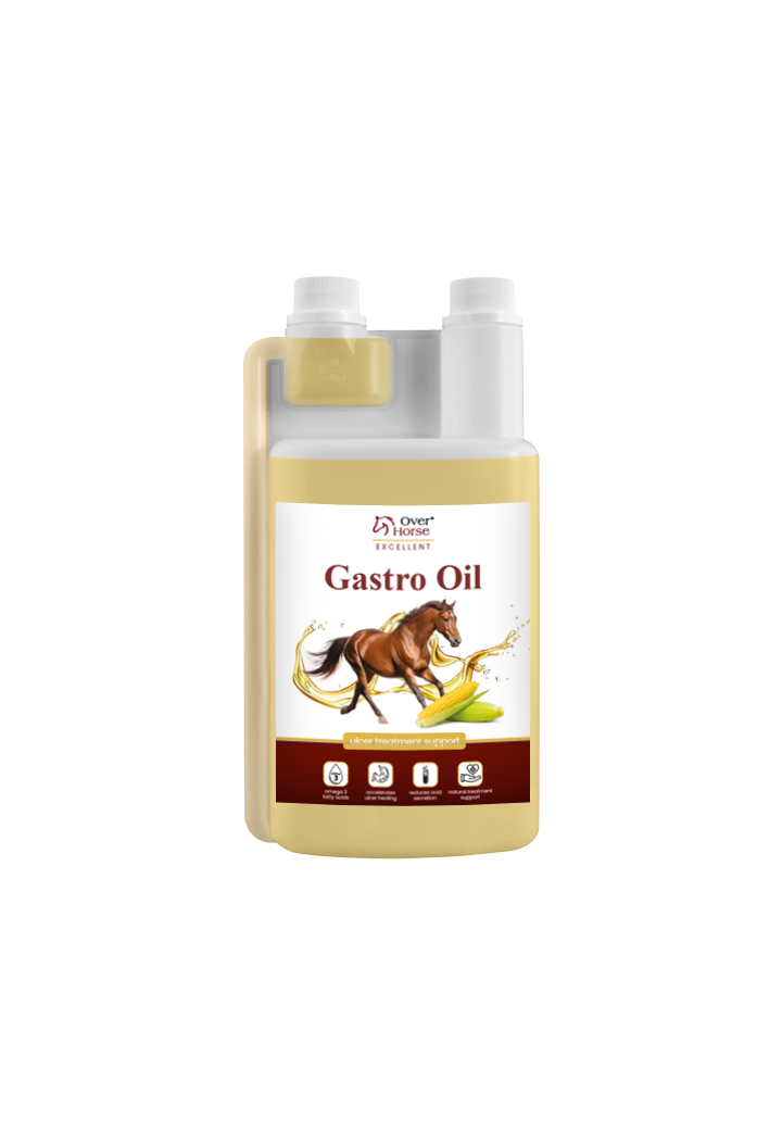 Olio per cavalli di ulcera OH GastroOil 2x1l