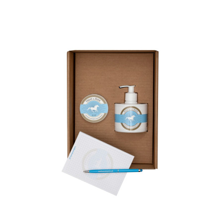 Kit di rigenerazione della pelle SCANDIA