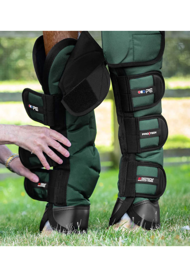 Protettori di trasmissione. PREMIER EQUINE Ballistic