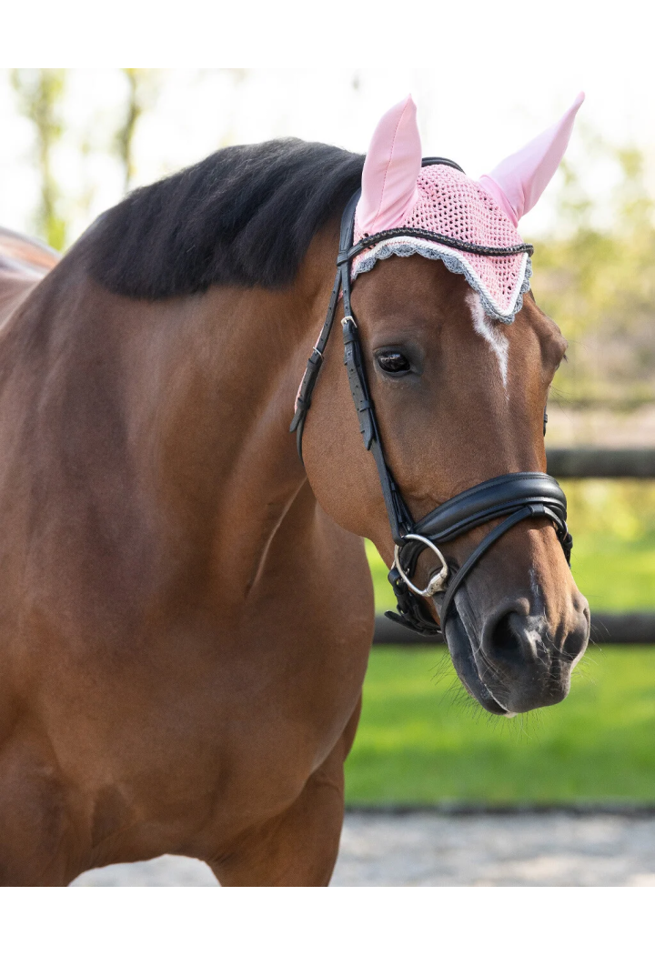 Cuffiette QHP EarHat colore
