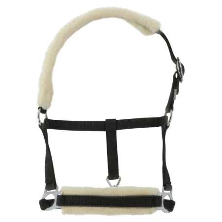 Cavezza foal NORTON Fur