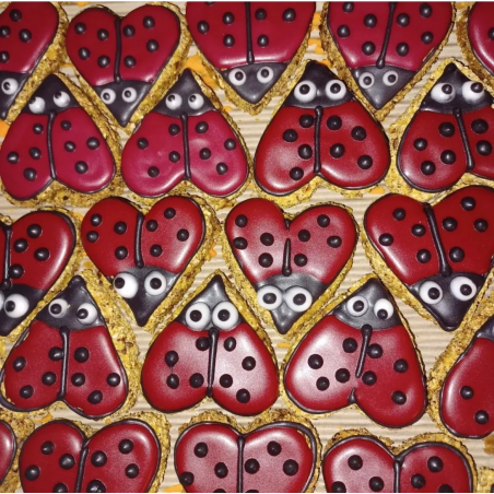 Cookie PAKA DLA RUMAKA Biedronka Czerwona
