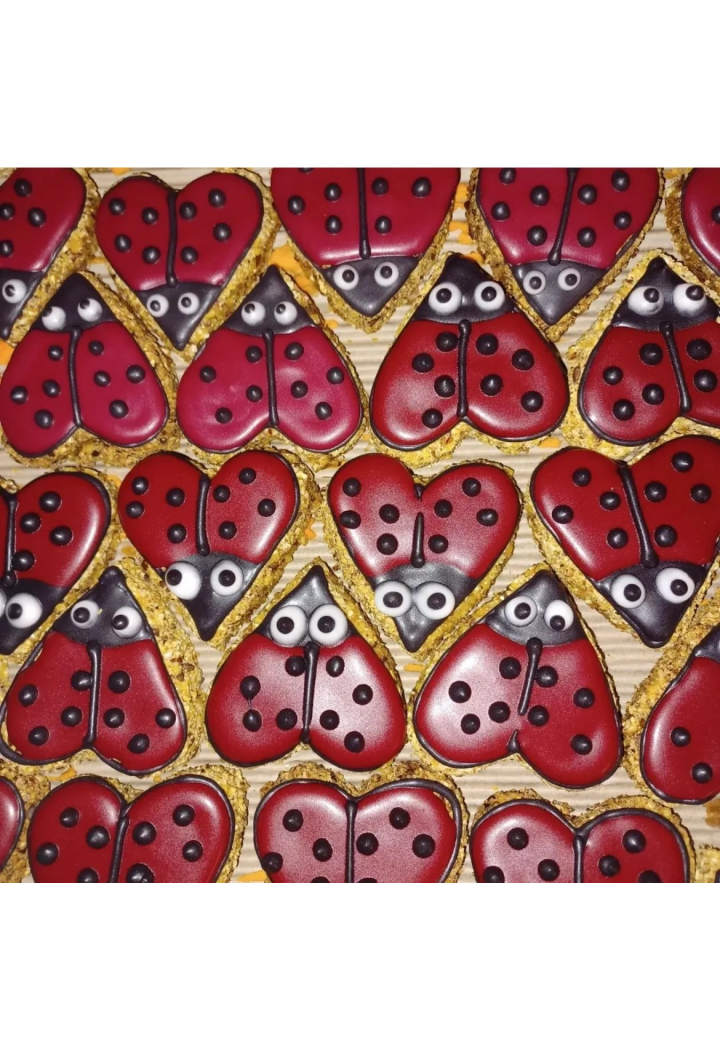 Cookie PAKA DLA RUMAKA Biedronka Czerwona