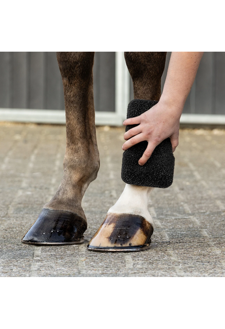 Sponge-Tun QHP Equi Super Shiner
