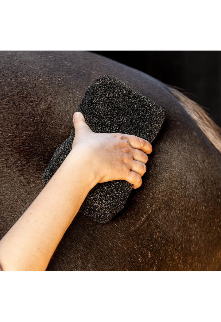 Sponge-Tun QHP Equi Super Shiner