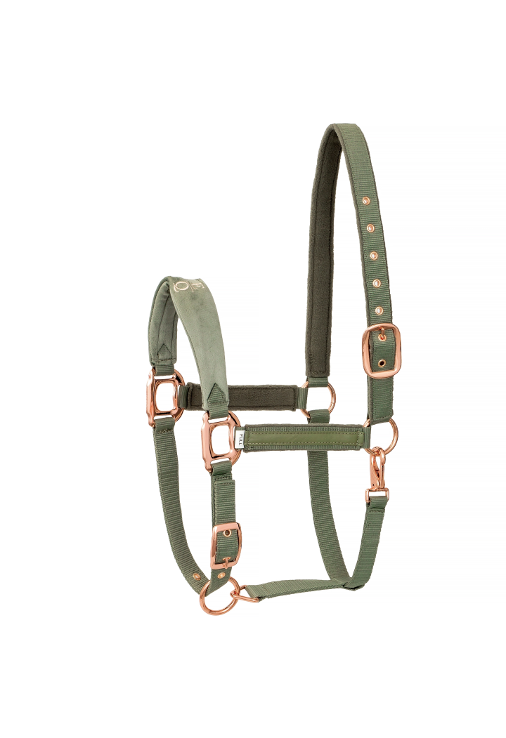Cavezza EQ.QUEEN Athens 24SS