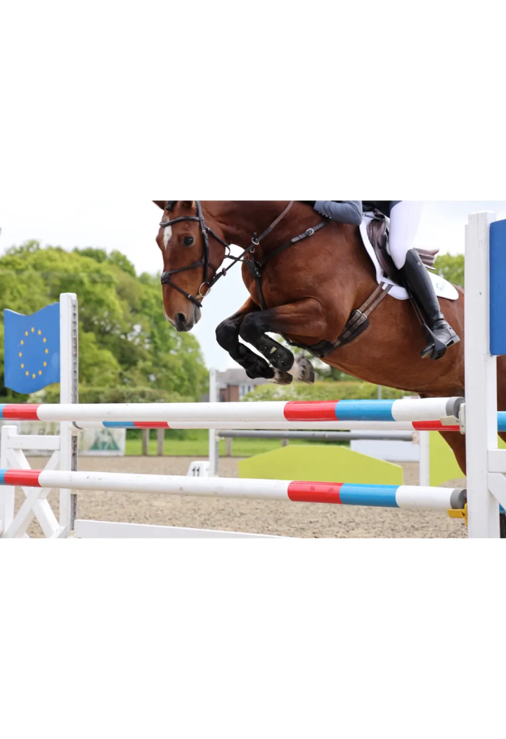 Protezione SHIRES Arma Oxi-Zone TendonBoots
