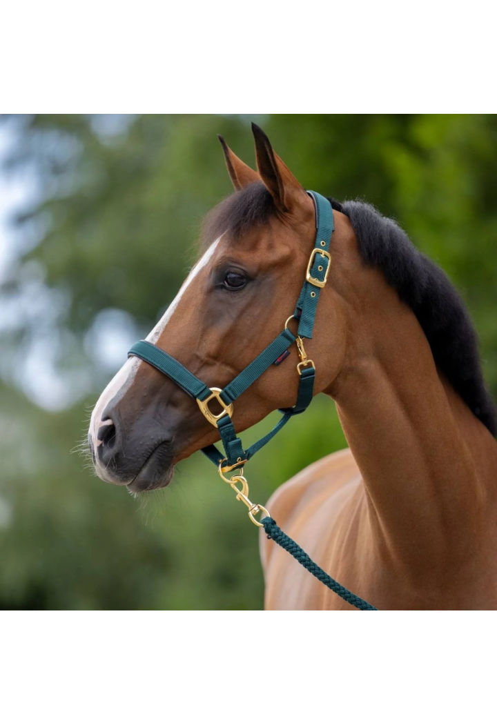 Topline Cavezza COVALLIERO