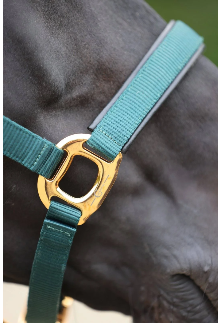 Topline Cavezza COVALLIERO