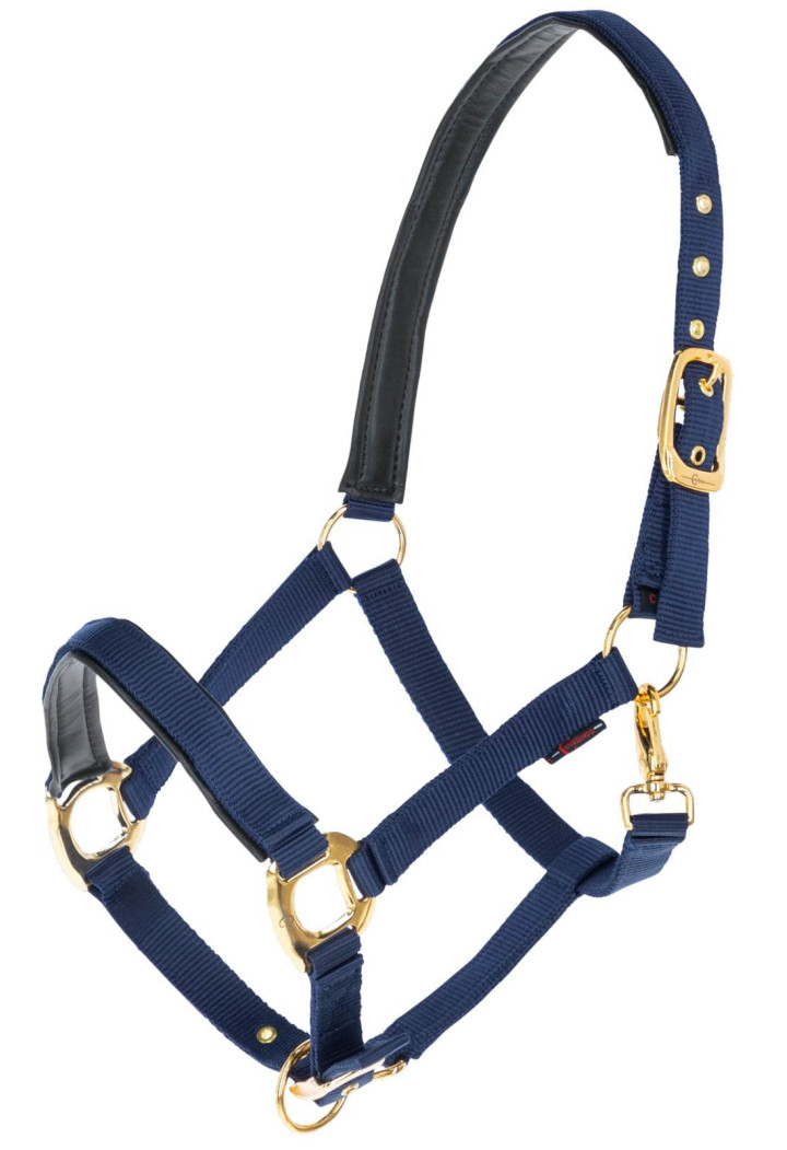 Topline Cavezza COVALLIERO