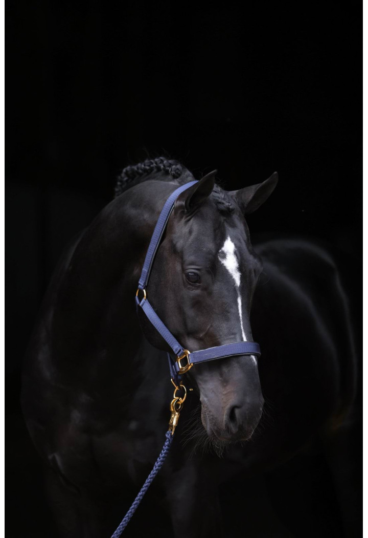 Topline Cavezza COVALLIERO