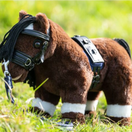 Kit di lonizzazione HKM CuddlePony Longierset
