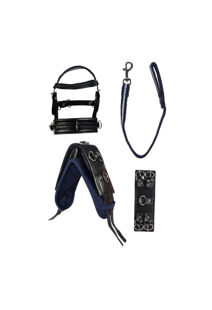 Kit di lonizzazione HKM CuddlePony Longierset
