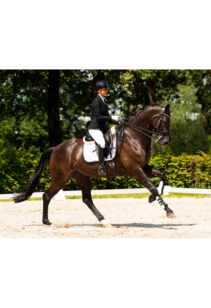 Pantaloni da equitazione PresTEQ PerformNow FullGrip femmina