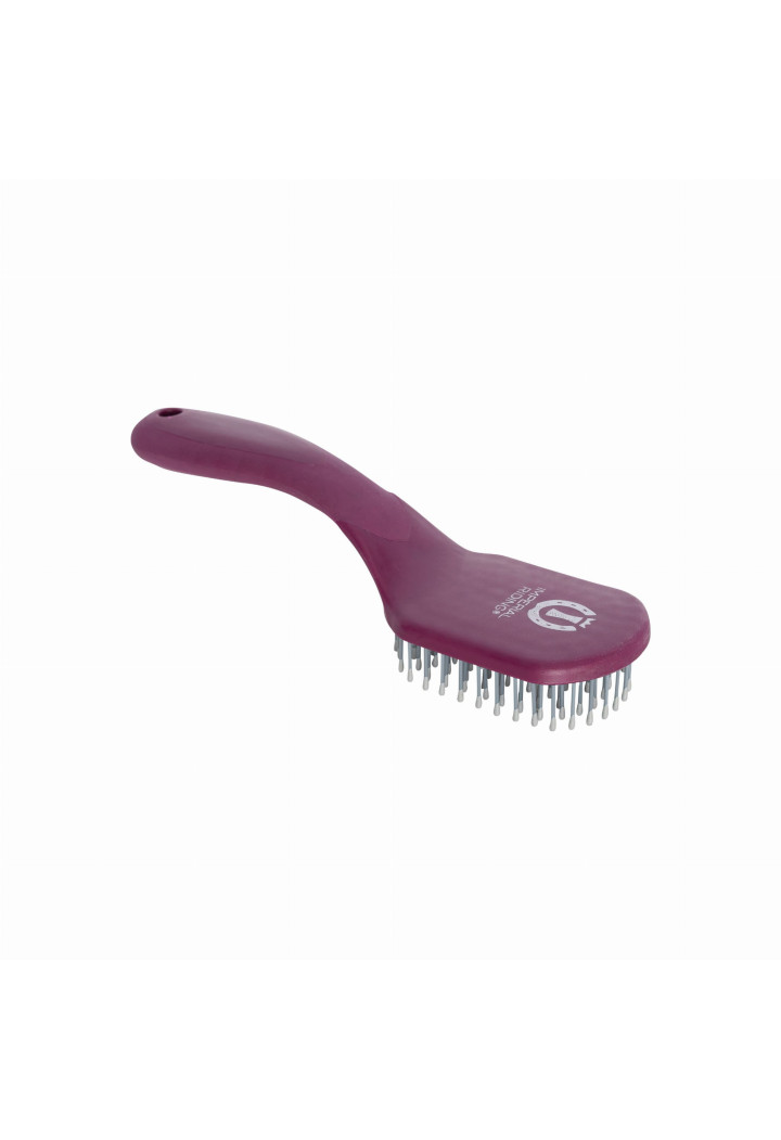 Spazzola di maneggio IR Boomerang