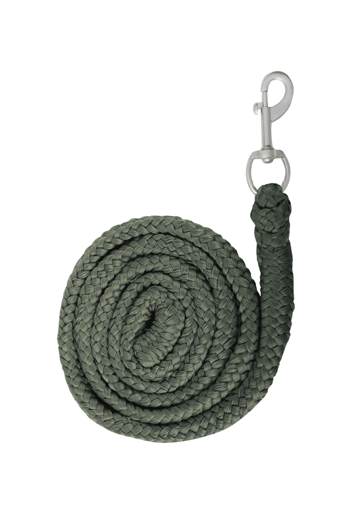 Lunghina WALDHAUSEN Economic