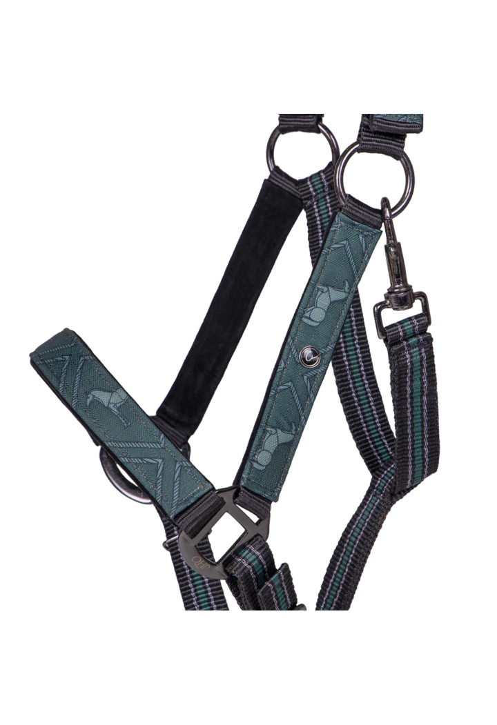 Cavezza con lunghina QHP Collection 24AW