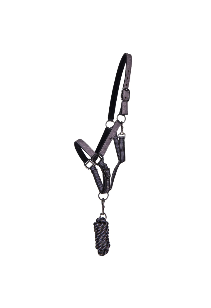 Cavezza con lunghina QHP Collection 24AW