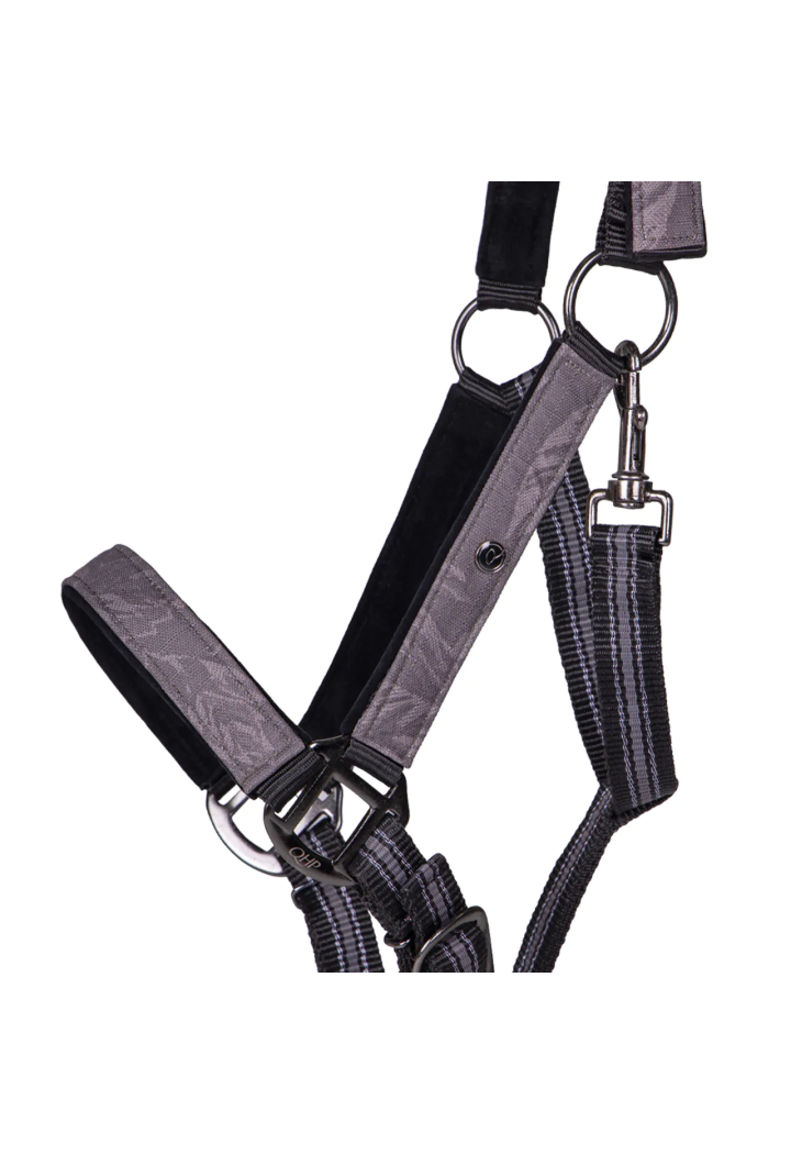 Cavezza con lunghina QHP Collection 24AW