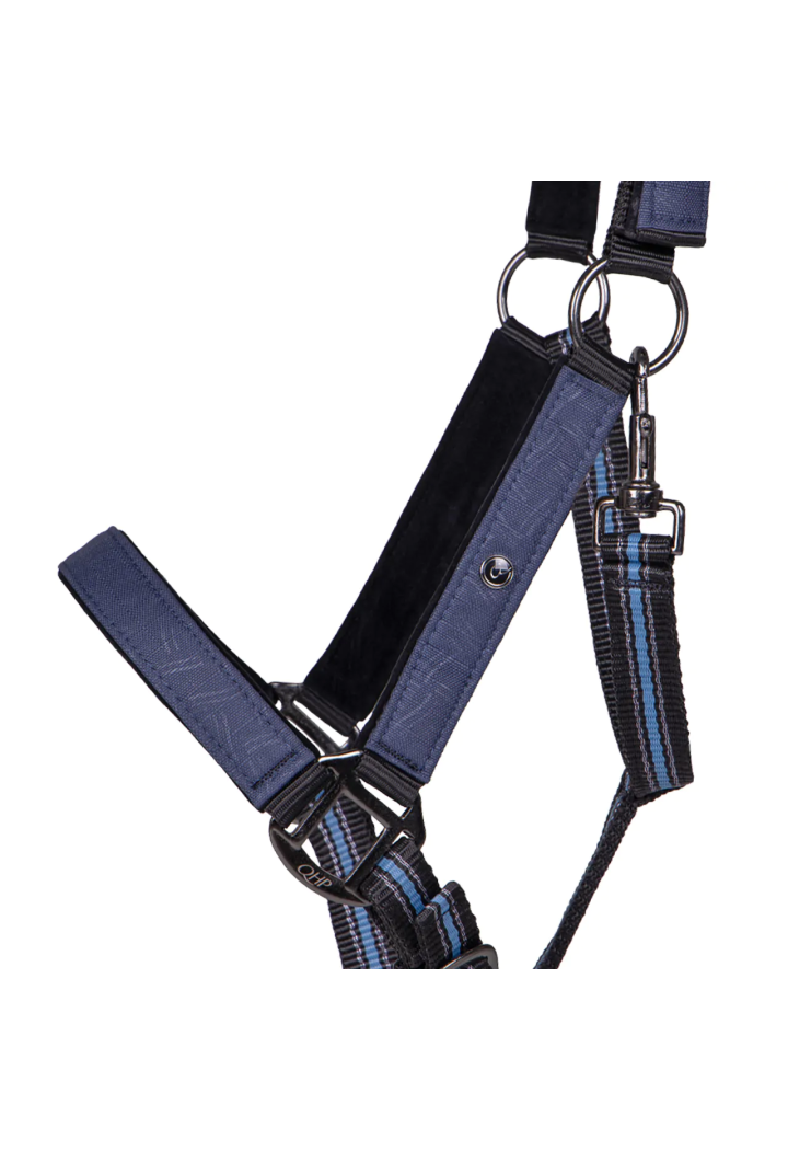 Cavezza con lunghina QHP Collection 24AW