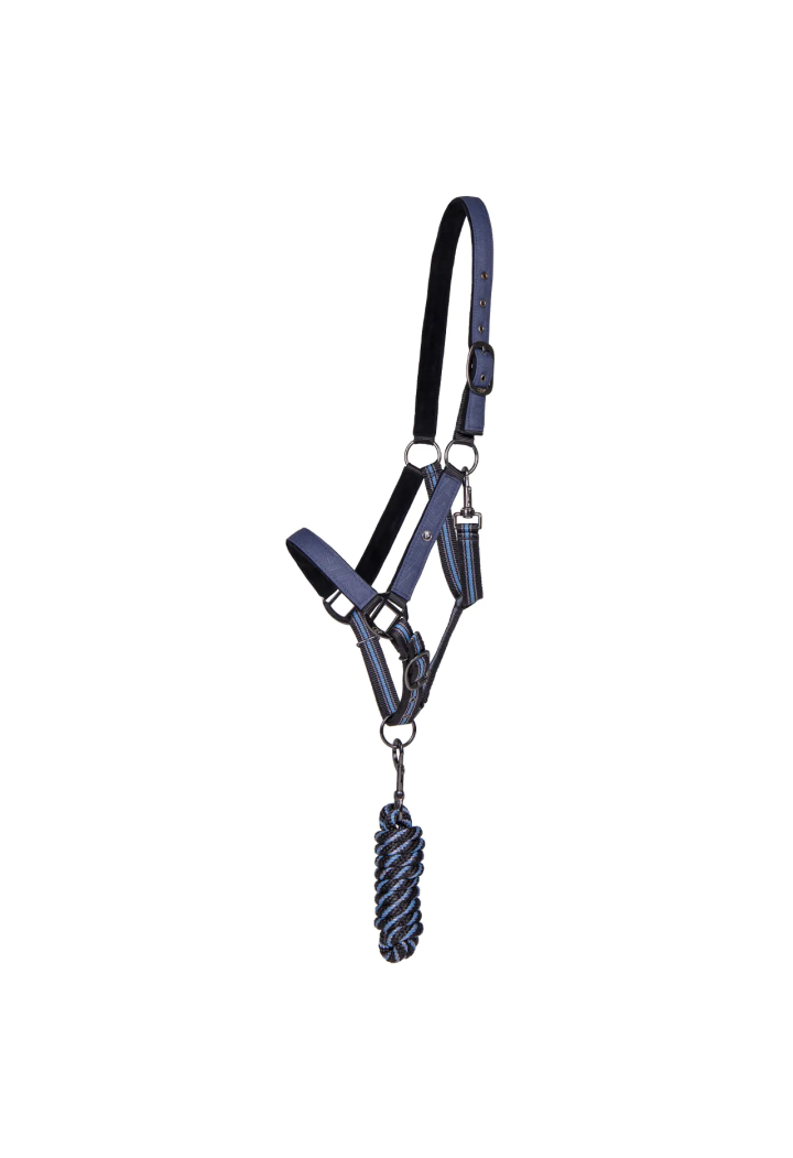 Cavezza con lunghina QHP Collection 24AW