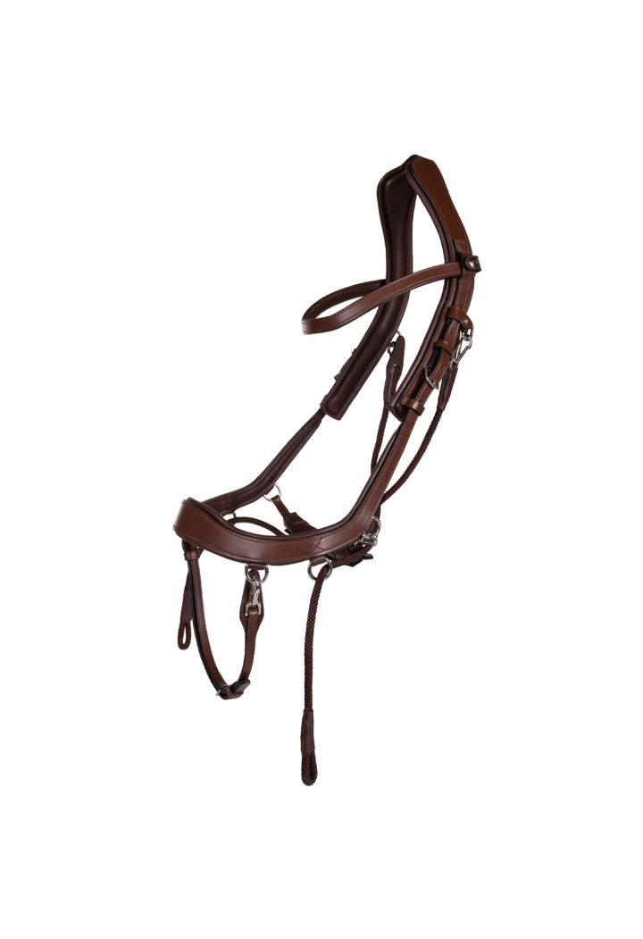 Testiera stingless PresTEQ FaySport