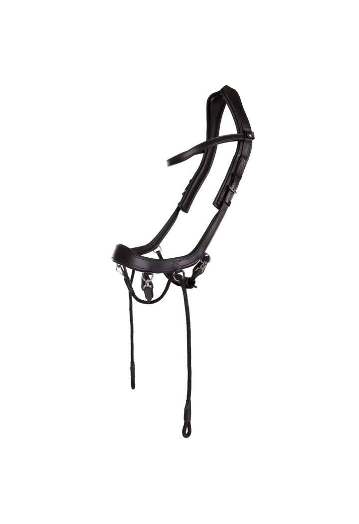 Testiera stingless PresTEQ FaySport