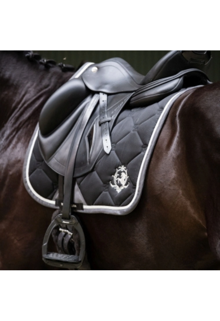 Sottosella EQ.QUEEN Riga 24AW