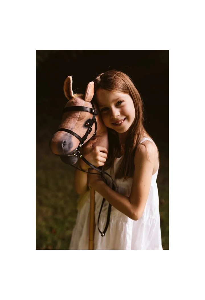 Cavallo sul palo ASTRUP Spirit HobbyHorse con fumi.