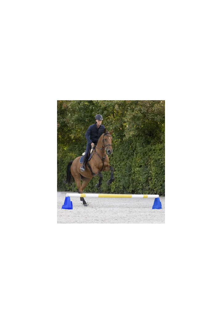 Supporto a livello 3 per cavaletti WALDHAUSEN