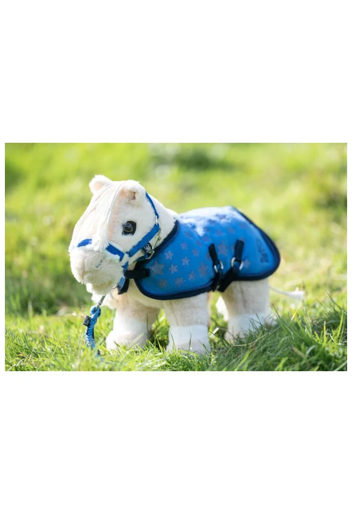 HKM StarSet CuddlePony Set