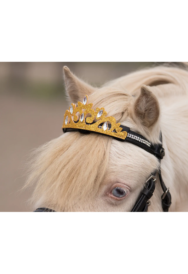 Decorazione su frontalino QHP CrownHorse