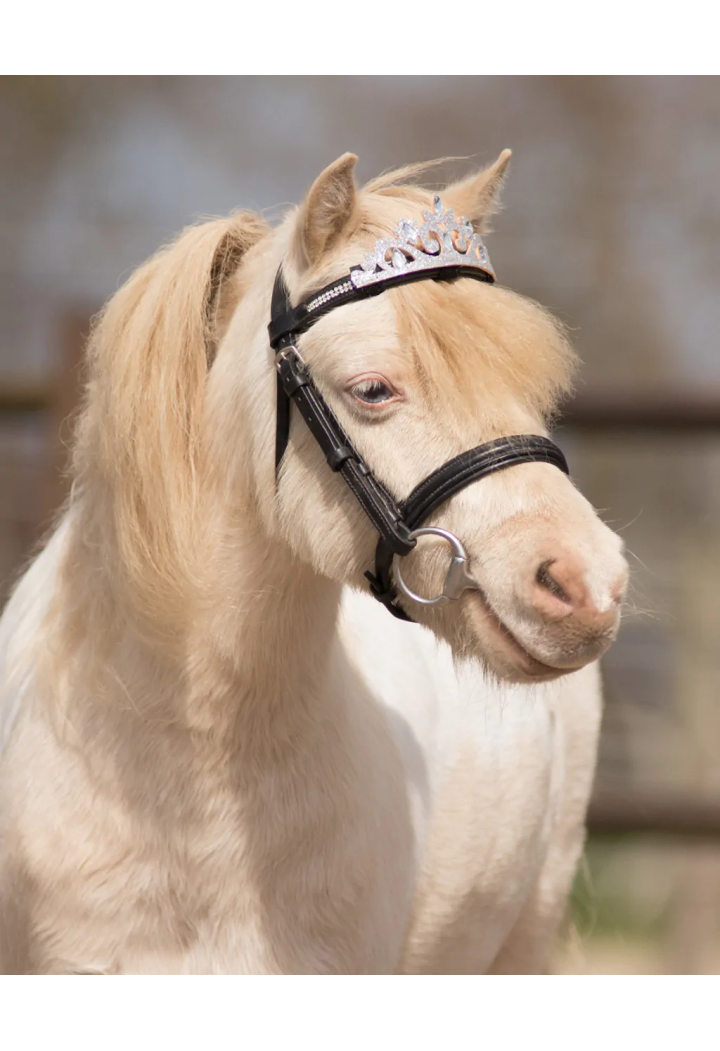 Decorazione su frontalino QHP CrownHorse