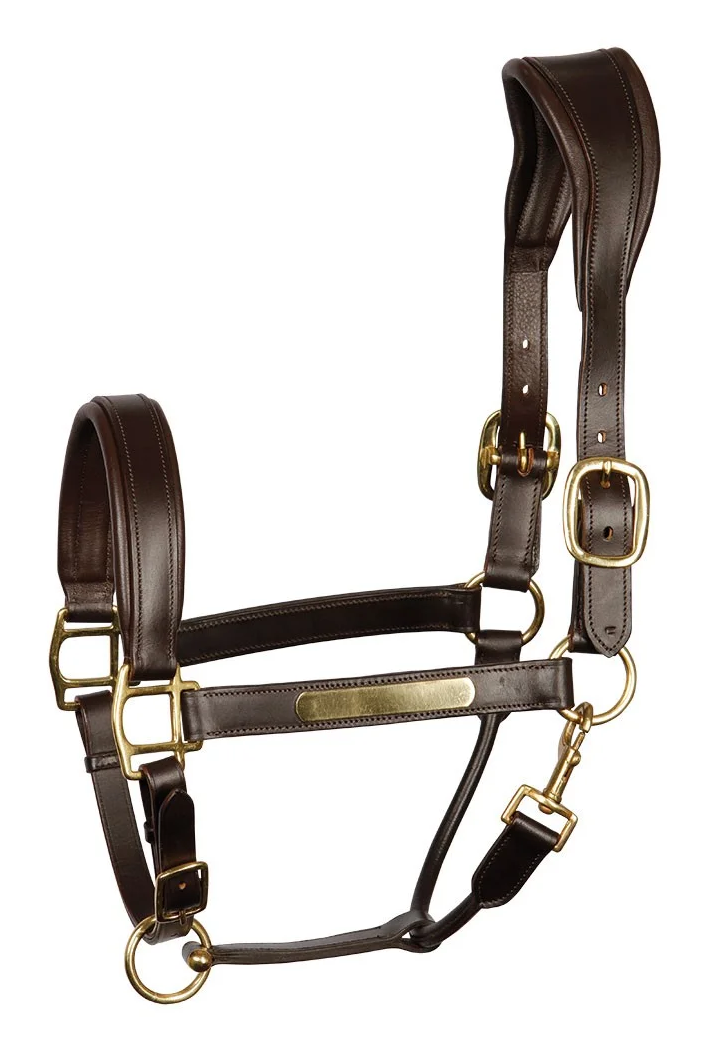 Cavezza pelle HH Anatomica
