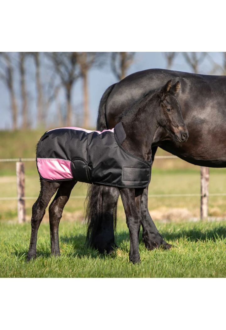 Coperta per cavalli foal HH TwoTone 200g