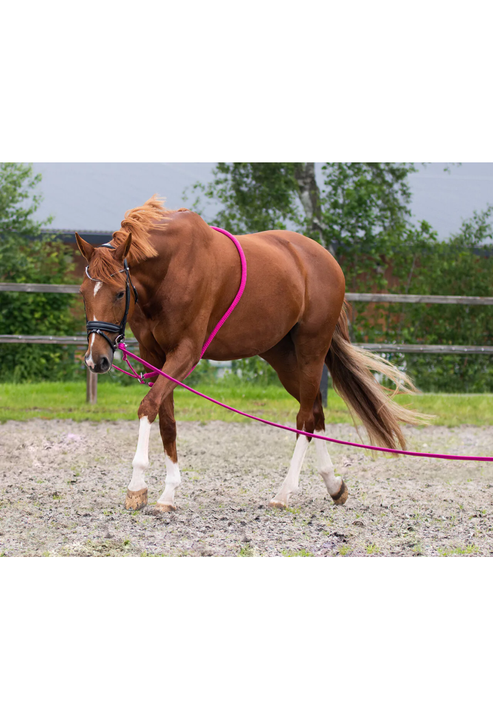 Lunge linea QHP Lunge 8