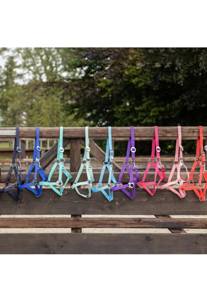 Scivolo QHP Cavezza