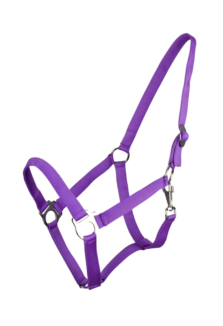 Scivolo QHP Cavezza