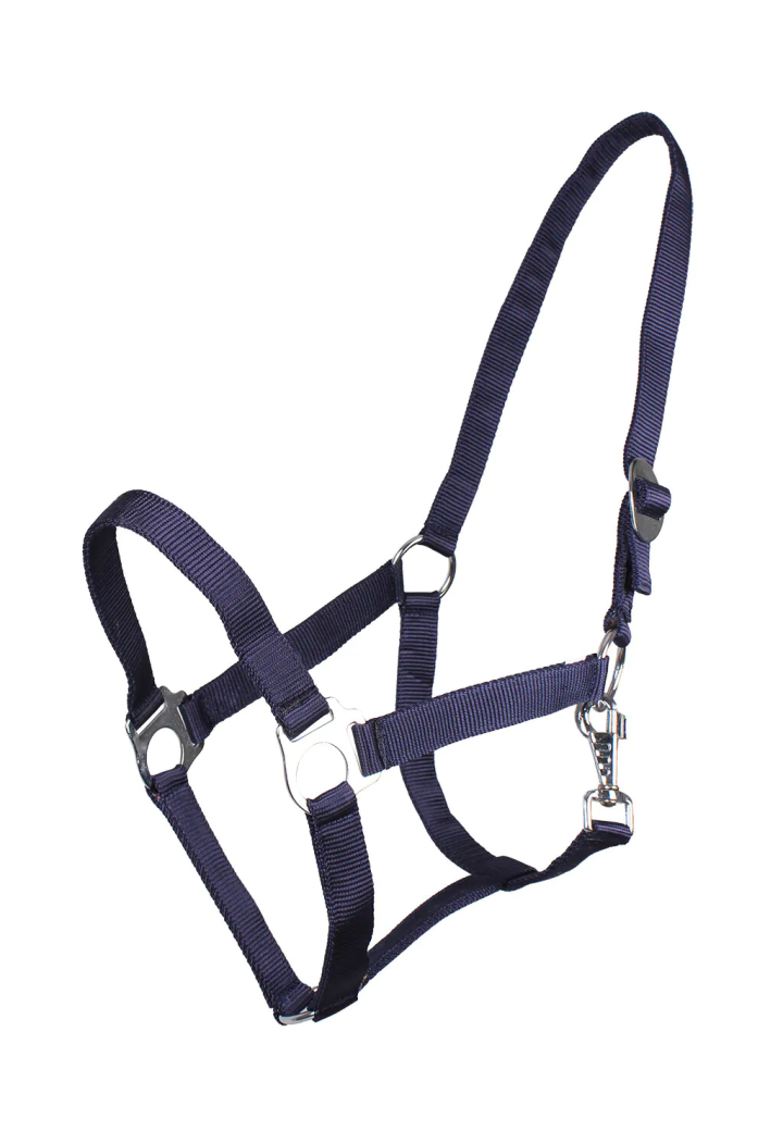 Scivolo QHP Cavezza