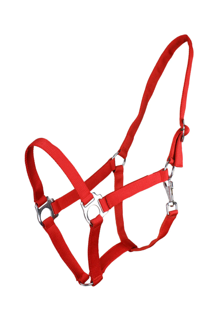 Scivolo QHP Cavezza