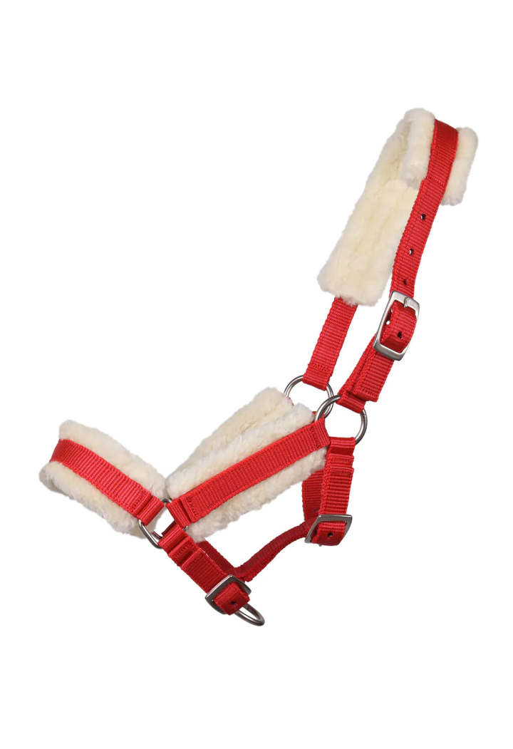 Cavezza foal QHP Fur