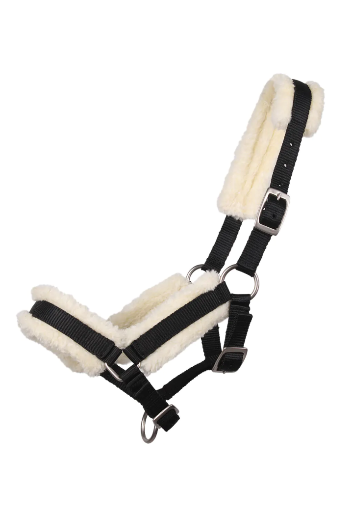 Cavezza foal QHP Fur