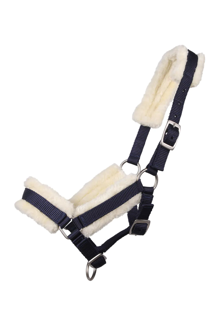 Cavezza foal QHP Fur