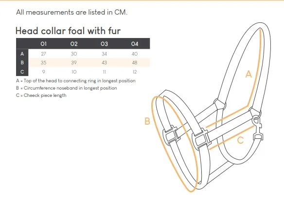Cavezza foal QHP Fur