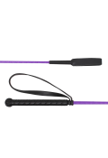 viola viola viola