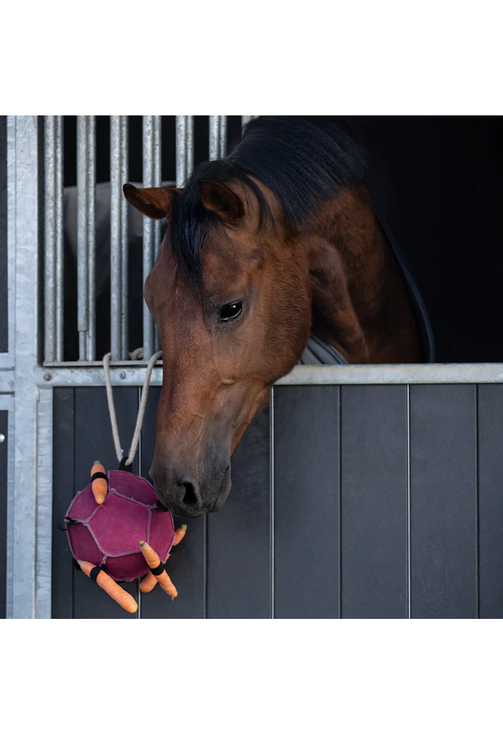 Giocattolo per cavalli da ballo QHP