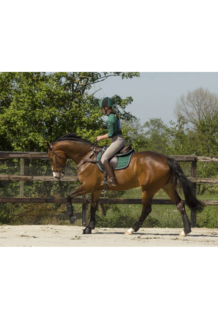 Paraglomi QHP Technical