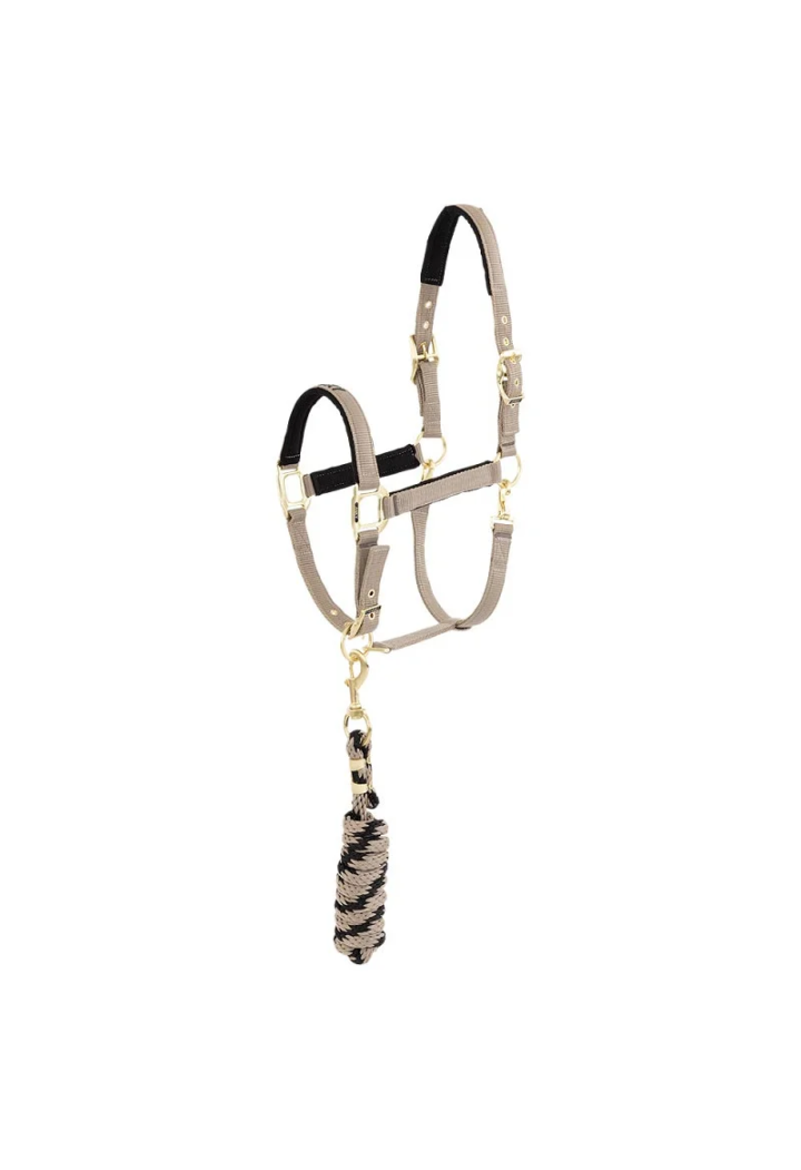 Cavezza ed lunghina ANKY Halter e Lead 25 SS