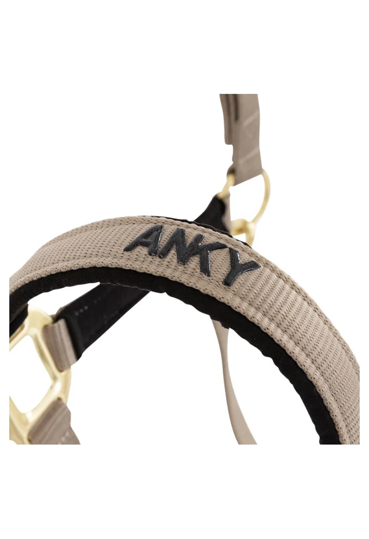 Cavezza ed lunghina ANKY Halter e Lead 25 SS