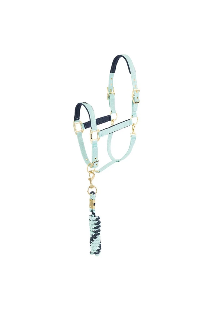 Cavezza ed lunghina ANKY Halter e Lead 25 SS